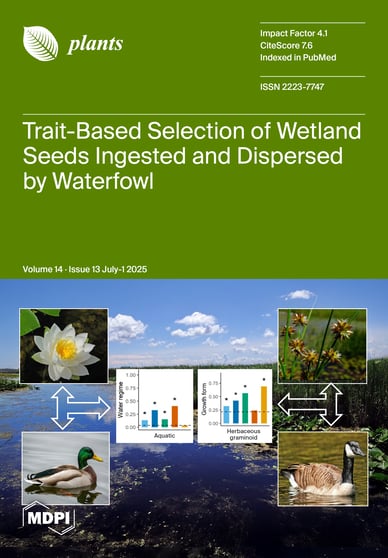 Journal Issue Cover Image