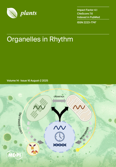 Journal Issue Cover Image