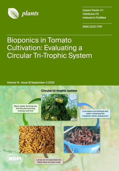 Journal Issue Cover Image