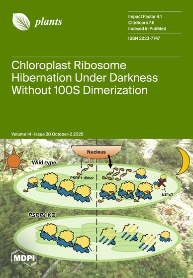 Journal Issue Cover Image