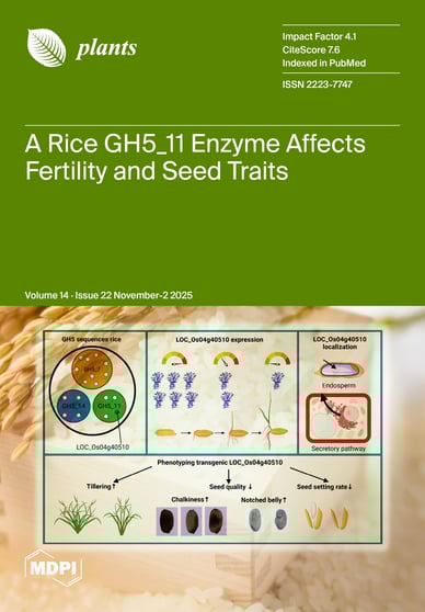 Journal Issue Cover Image