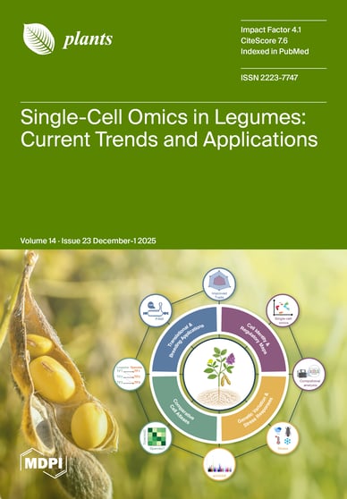 Journal Issue Cover Image