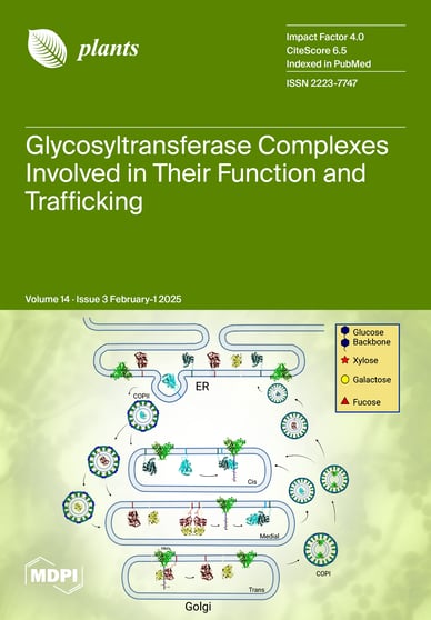 Journal Issue Cover Image