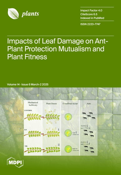 Journal Issue Cover Image