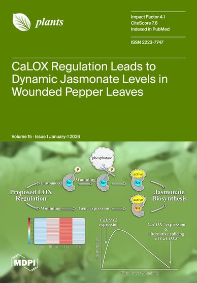 Journal Issue Cover Image