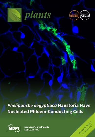 Journal Issue Cover Image