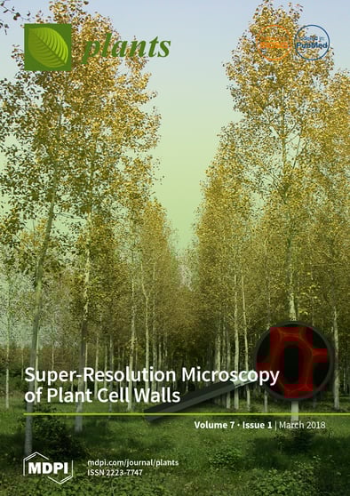 Journal Issue Cover Image