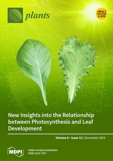 Journal Issue Cover Image