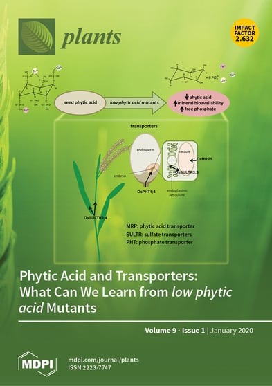 Journal Issue Cover Image