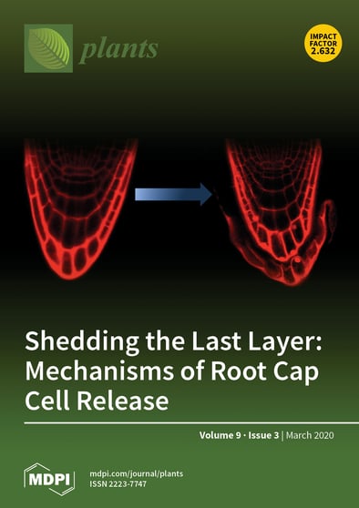 Journal Issue Cover Image