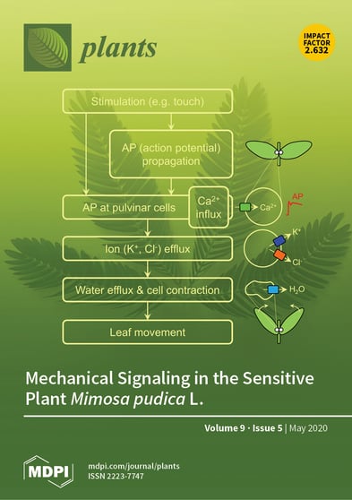 Journal Issue Cover Image
