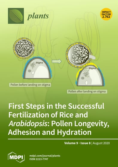 Journal Issue Cover Image