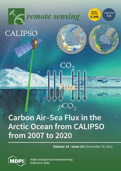 Journal Issue Cover Image