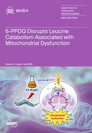 Journal Issue Cover Image