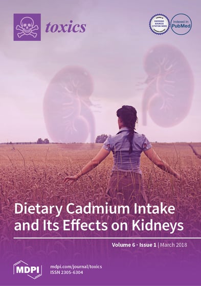 Journal Issue Cover Image