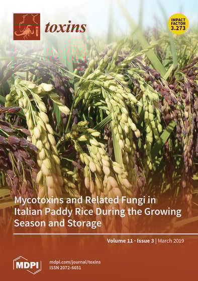 Journal Issue Cover Image