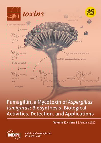 Journal Issue Cover Image