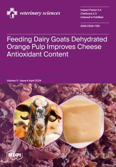 Journal Issue Cover Image