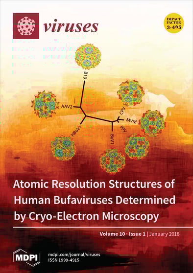 Journal Issue Cover Image