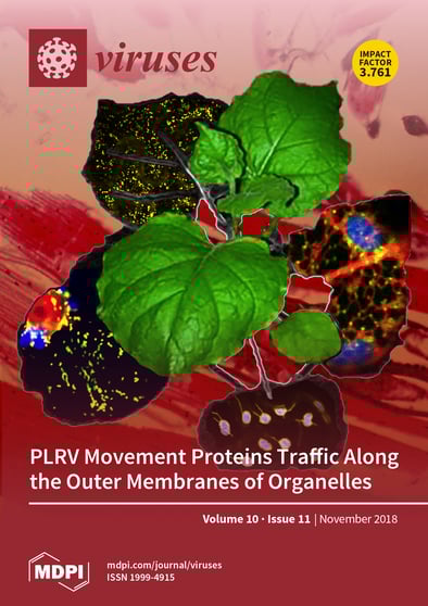 Journal Issue Cover Image