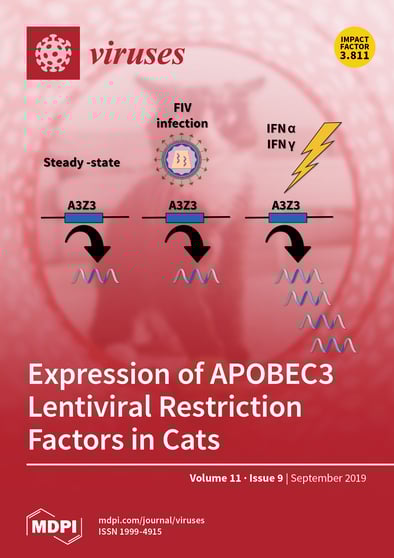 Journal Issue Cover Image