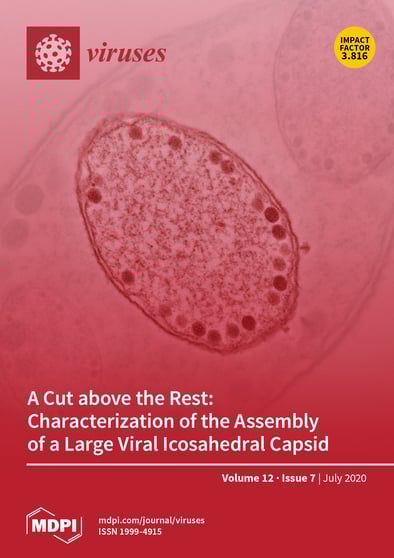Journal Issue Cover Image