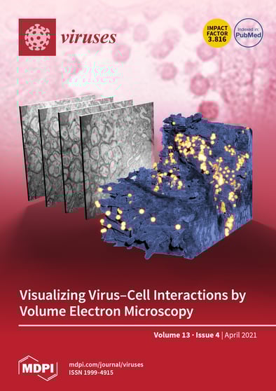 Journal Issue Cover Image