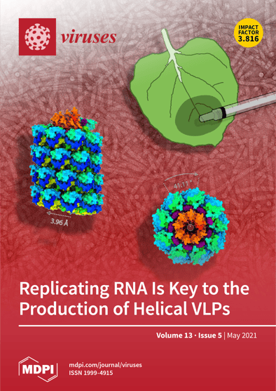 Journal Issue Cover Image