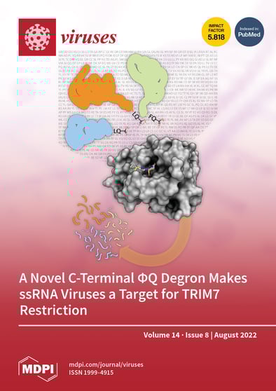 Journal Issue Cover Image