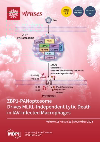 Journal Issue Cover Image