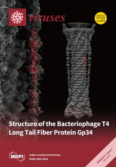 Journal Issue Cover Image