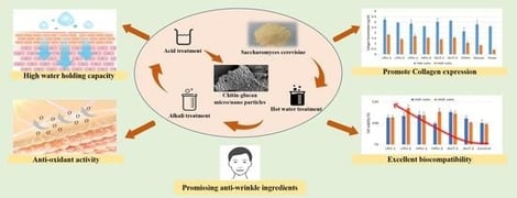 FTIR spectra the initial yeast (A) and the extracted CG samples (B).