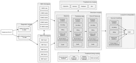 Simplified model structure of NBS screening for SMA. The model begins with the population (a hypothetical cohort of newborns in the UK). The population in the no NBS screening arm is the same as in the NBS screening arm in terms of the incidence of SMA and the proportions of different genotypes and phenotypes (i.e., the different SMA types). The box labelled “short-term module” represents a 3-year short-term model which incorporates the motor function milestones gained (i.e., sitting, walking with assistance, and broad range of normal development), the need for permanent ventilation, the time to death, and the treatment effectiveness based on clinical study data. In the short-term module box, the “baseline”, “published data”, and “end of follow-up” in the different columns relate to the 6-monthly time intervals, where data on the proportions of patients in the different health states are sourced from the key clinical studies of the different treatments. The long-term model on the right involves the extrapolation of the motor function milestones, the need for permanent ventilation, and mortality, which are assumed to be conditional on the health states reached by the end of the 3-year model. The long-term model uses 6-monthly time cycles to estimate the lifetime costs and quality-adjusted life years. Although not depicted in the figure, a BSC scenario was also included as a comparator. Abbreviations: BSC: best supportive care; NBS: newborn blood spot; SMA: spinal muscular atrophy; SMN: survival motor neuron. Source: [40].