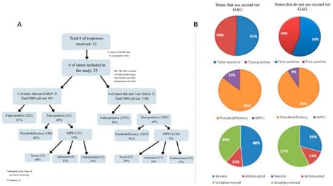 Comparative outcomes in MPS I screening programs with and without second-tier GAG testing. (A) Breakdown of cohort comparison methodology between programs using enzyme-only testing and those using second-tier GAG analysis. (B) Pie charts display the distribution of outcomes in each cohort.