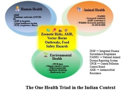 Conceptual representation of the One Health Triad in the Indian context. AMR data streams originate from hospital infection reporting (human health), veterinary AMR surveillance (livestock and wildlife), and wastewater/environmental discharge (CPCB, STPs), forming a convergent risk interface.