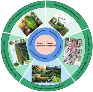 Intelligent vision technology empowering modern agriculture: technologies and applications.