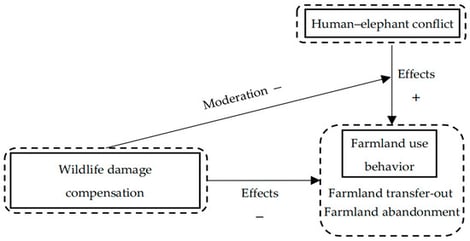 Theoretical analytical framework. Note: “+” represents a positive relationship, and “−” represents a negative relationship.
