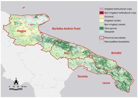 Cultivation land use classes in the Apulia region.