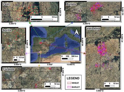 Location of the studied data. The fields studied are outlined in red for wheat and pink for barley, for each location and growing season presented.