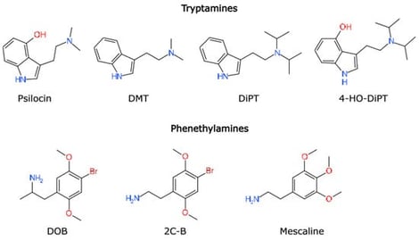 Test series includes three resolved structures (psilocin, DMT, mescaline) and four closely related analogues.