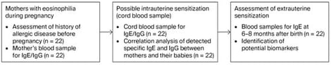 Study design. A history of allergic disease prior to pregnancy is not a mandatory inclusion criterion, whereas eosinophilia during pregnancy is. Blood samples from the mother for IgE/IgG (n = 22) were collected immediately before delivery. Umbilical cord blood samples for IgE/IgG (n = 22) were collected at the birth of their babies. Assessment of extrauterine sensitization of infants was performed at 6–8 months after birth. During the follow-up visit, blood samples were taken from the children to check their sensitization status.