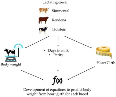Experimental design.