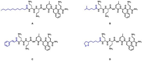 Structures of peptides (Dab-Dab-Leu-Phe-Dab, DDLFD) modified with (A) lauric acid (C12-5); (B) 5-methylhexanoic acid (MH-5); (C) cinnamic acid (CA-5); (D) lipoic acid (LA-5). Blue indicates N-terminal modification.