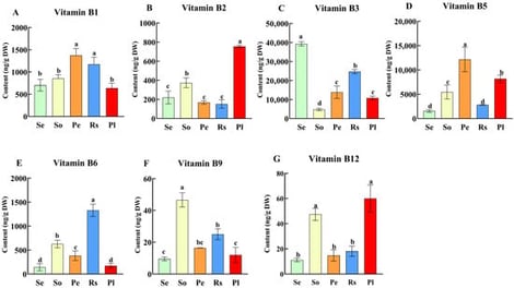 B vitamin variations [B1 (A), B2 (B), B3 (C), B5 (D), B6 (E), B9 (F), and B12 (G)] in seeds of five oilseed crops (Se: sesame, So: soybean, Pe: peanut, Rs: rapeseed, and Pl: perilla). Different letters indicate significant differences in vitamin B content among seeds of different crops (P < 0.05).