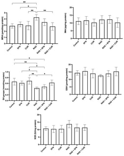 The effect of a single exposure of rat lung tissue to ionizing radiation on parameters of oxidative stress and antioxidant protection, as well as the protective effects of sulforaphane (SFN) and curcumin (CUR) administered per os for 28 days prior irradiation. Results are expressed per mg of protein (Bradford assay, bovine serum albumin standard). Control: lung tissue from vehicle-treated rats (5% DMSO, 28 days); SFN: lung tissue from rats pretreated with SFN (2 mg/kg/day, 28 days); CUR: lung tissue from rats pretreated with CUR (4.13 mg/kg/day, 28 days); RAD: lung tissue from control rats ex vivo exposed to radiation (absorbed dose: 2 Gy); RAD + SFN: lung tissue from SFN-pretreated rats ex vivo exposed to radiation (absorbed dose: 2 Gy); RAD + CUR: lung tissue from CUR-pretreated rats ex vivo exposed to radiation (absorbed dose: 2 Gy). Statistical analysis: one-way ANOVA + Tukey’s post hoc multiple-comparison test. Statistical significance is denoted by asterisks: * p < 0.05, and ** p < 0.01. Data are presented as mean ± SD. Bars represent mean values, and error bars indicate ± SD. n = 5 independent biological samples per group. Horizontal lines indicate the specific pairwise comparisons between the groups; comparisons without connecting lines are not statistically significant.