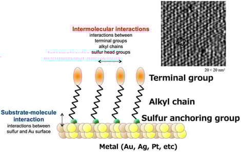 Illustration of a self-assembled monolayer (SAM) of thiols on gold and scanning tunneling microscope image (20 × 20 nm2) of the SAM of n-butyl thiol on Au(111).