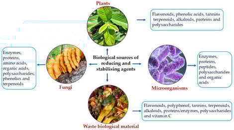 Schematic representation of the major biological sources and their associated reducing and stabilising agents involved in the biogenic synthesis of Cu-based nanoparticles.