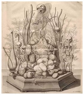 Frederick Ruysch staged cabinet of curiosities (Image: British Library, 548.h.9:2.).