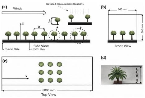 Schematic of the test section with models of the vegetation canopy. (a) Front view; (b) side view; (c) top view; (d) photograph of a unit of plastic tree model.