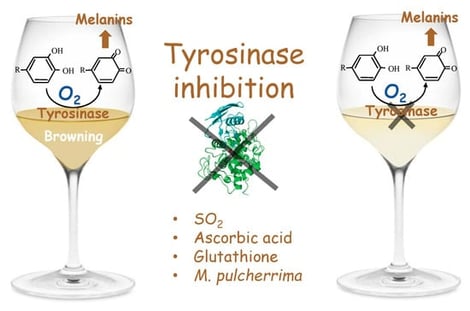 Influence of the different treatments on tyrosinase activity. All data are expressed as the average of three replicates ± standard deviation. AA: ascorbic acid; GSH: glutathione; IDY-GSH: inactivated dry yeasts rich in glutathione.